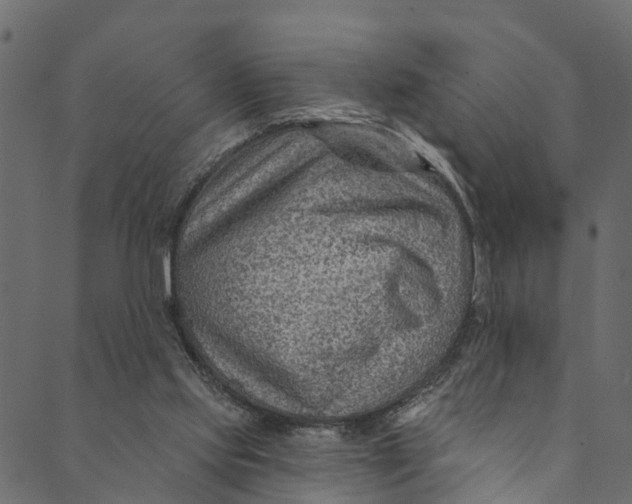 X0000089680061200707121259