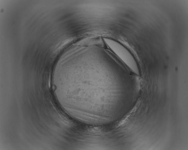 X0000089680062200707121259