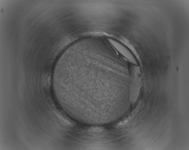 X0000089680063200707121259