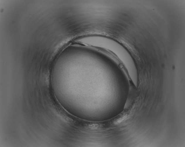 X0000089680064200707121259