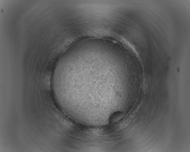 X0000089680065200707121259