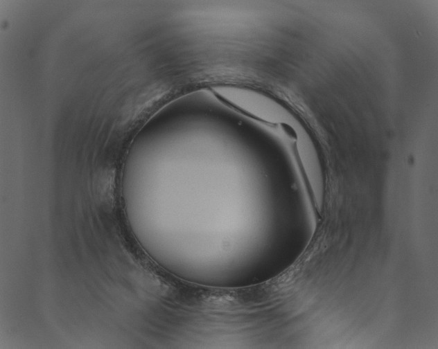 X0000089680066200707121259