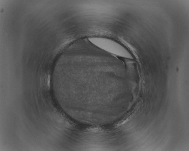 X0000089680067200707121259