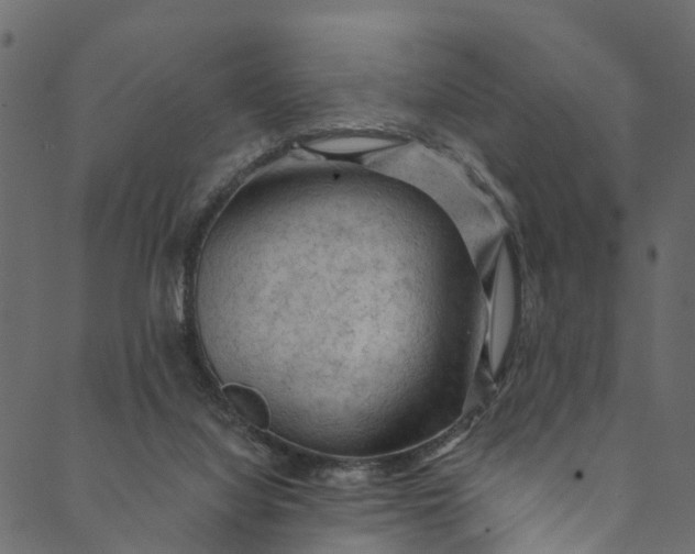 X0000089680068200707121259