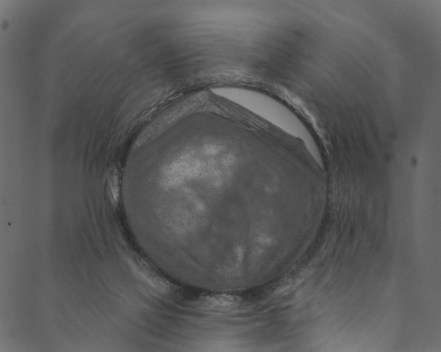 X0000089680069200707121259