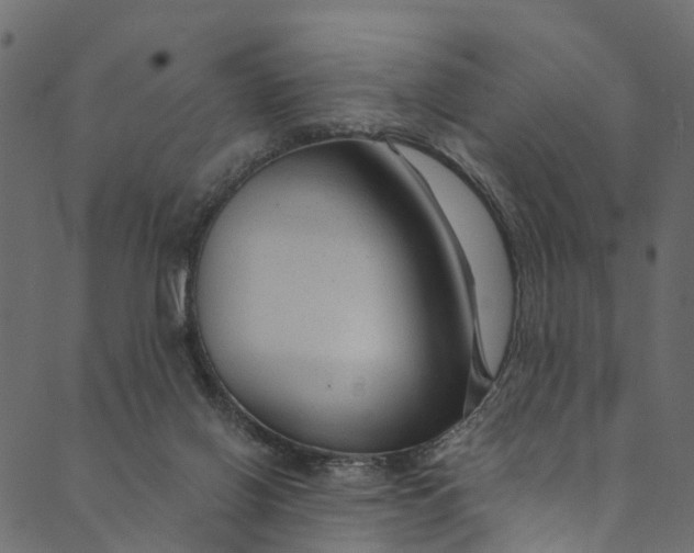 X0000089680070200707121259