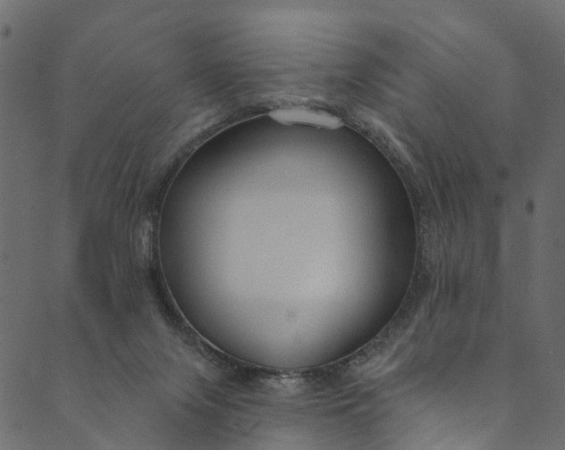 X0000089680071200707121259