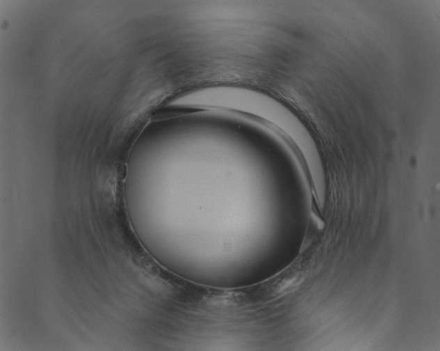 X0000089680072200707121259