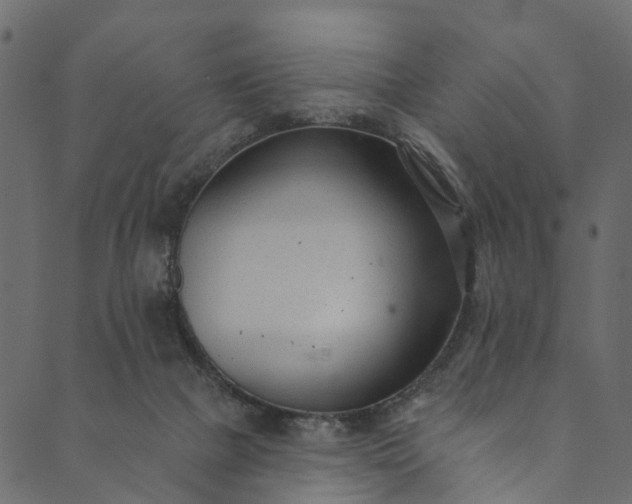 X0000089680073200707121259