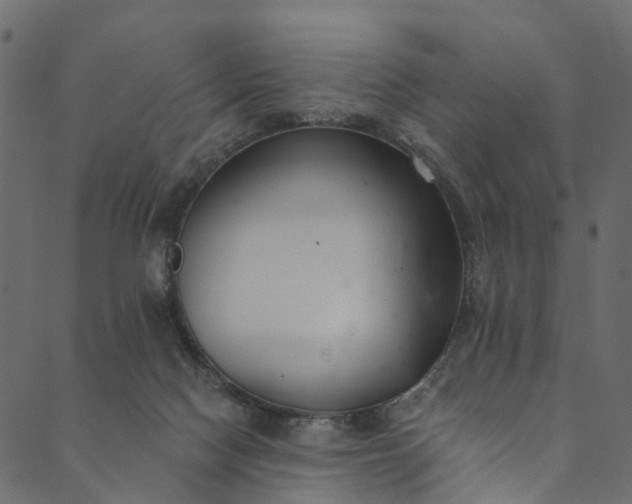 X0000089680074200707121259