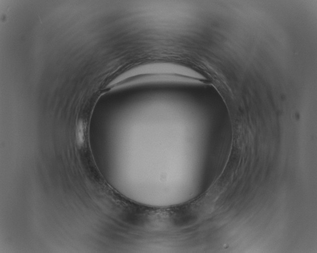 X0000089680075200707121259