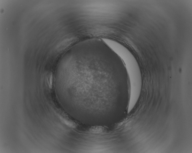 X0000089680076200707121259