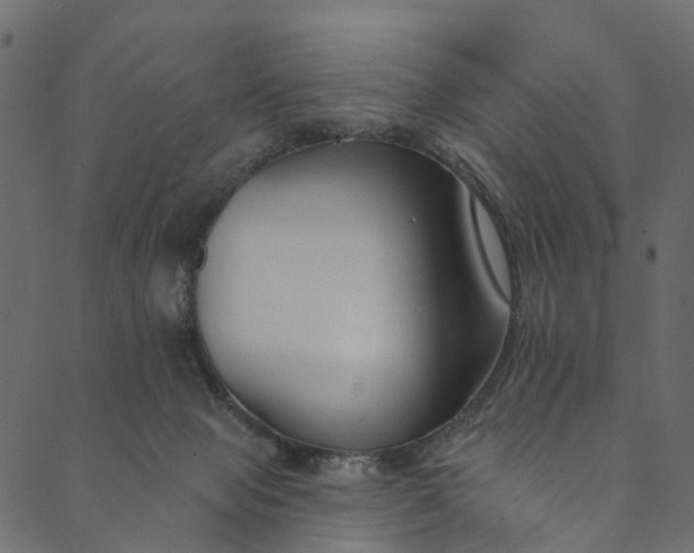 X0000089680077200707121259