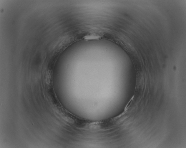 X0000089680078200707121259