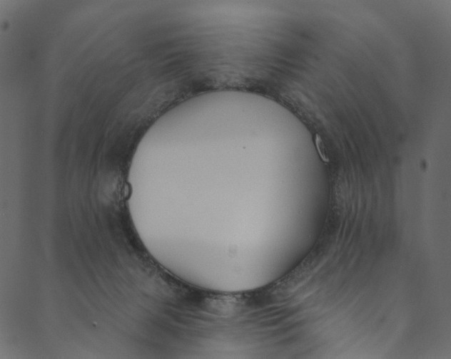 X0000089680079200707121259