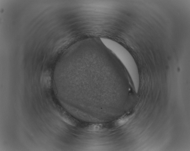 X0000089680080200707121259