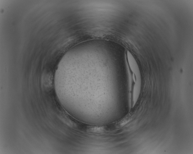 X0000089680081200707121259