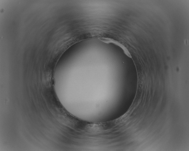 X0000089680082200707121259