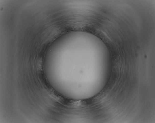 X0000089680083200707121259