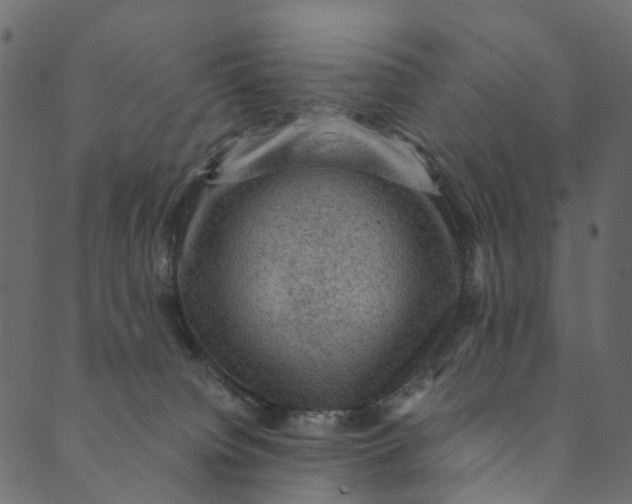 X0000089680084200707121259