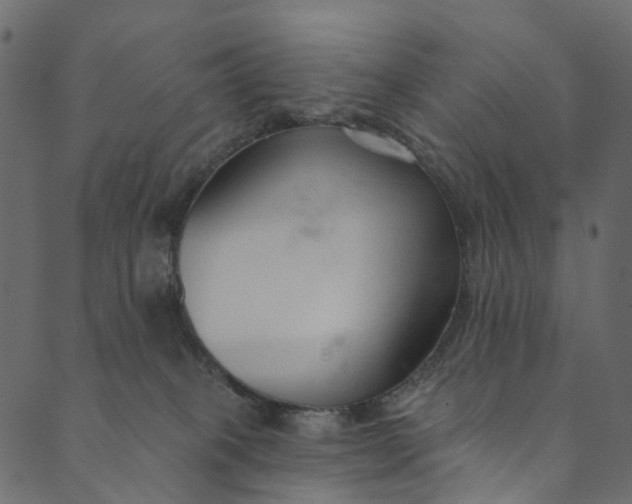 X0000089680085200707121259