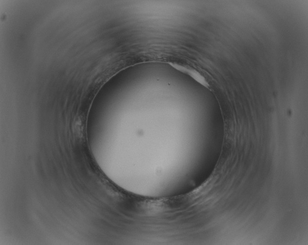 X0000089680086200707121259