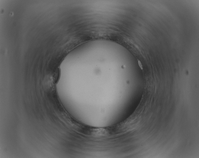 X0000089680087200707121259