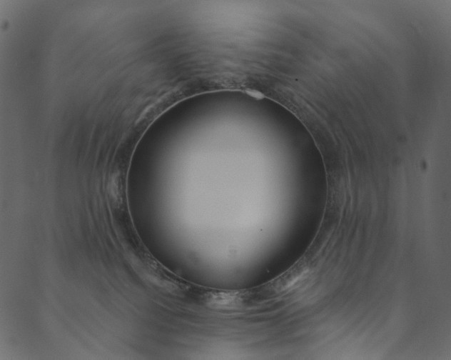 X0000089680088200707121259