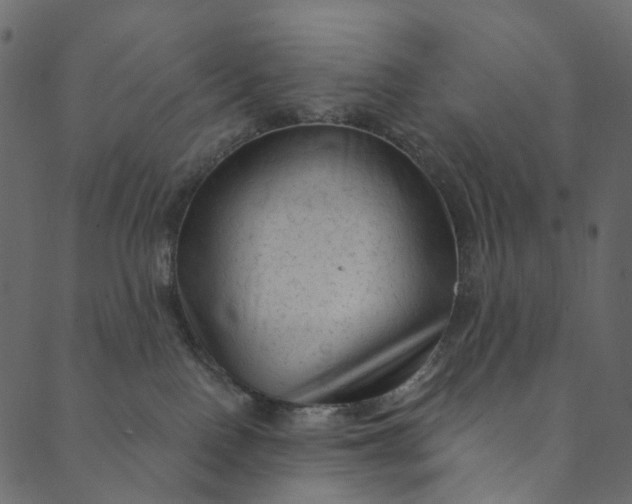 X0000089680090200707121300