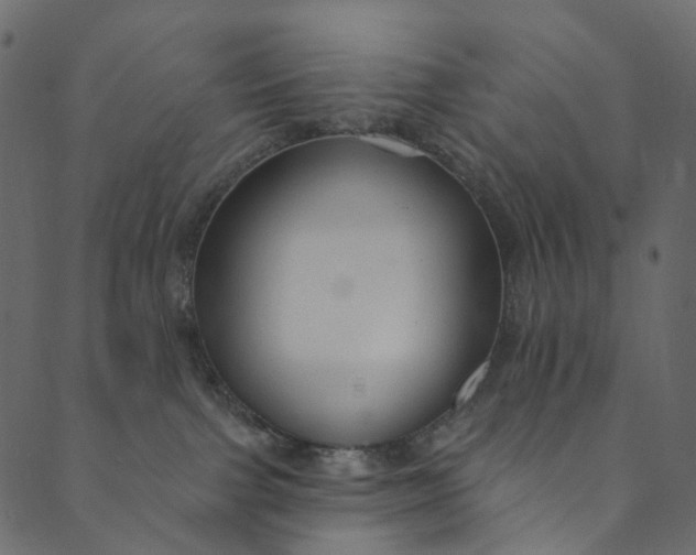 X0000089680091200707121300