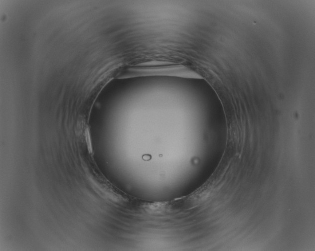 X0000089680092200707121300