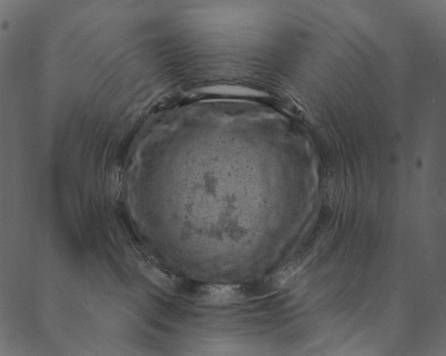 X0000089680093200707121300