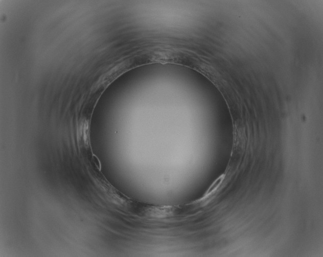 X0000089680094200707121300