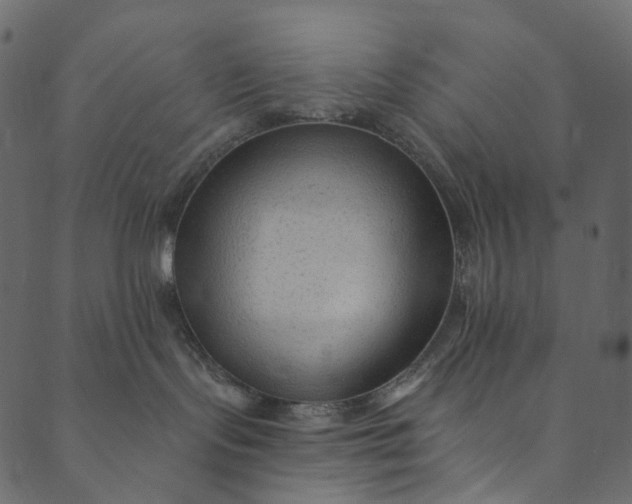 X0000089680095200707121300