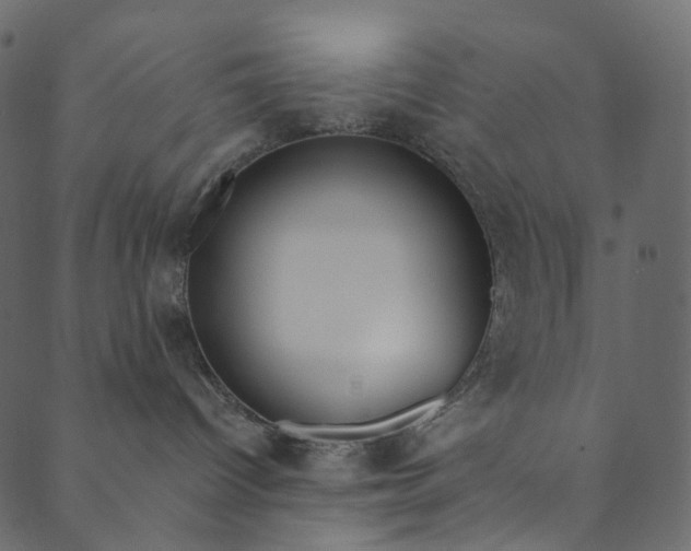 X0000089680096200707121300