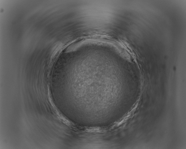 X0000089680097200707121259