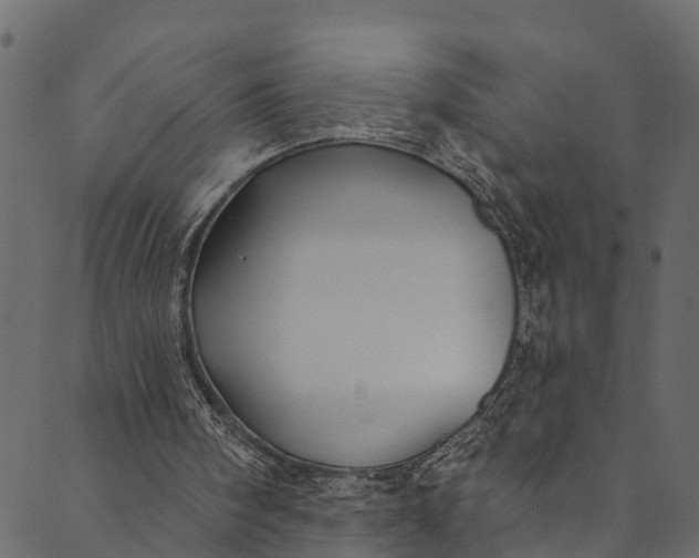 X0000089680098200707121259