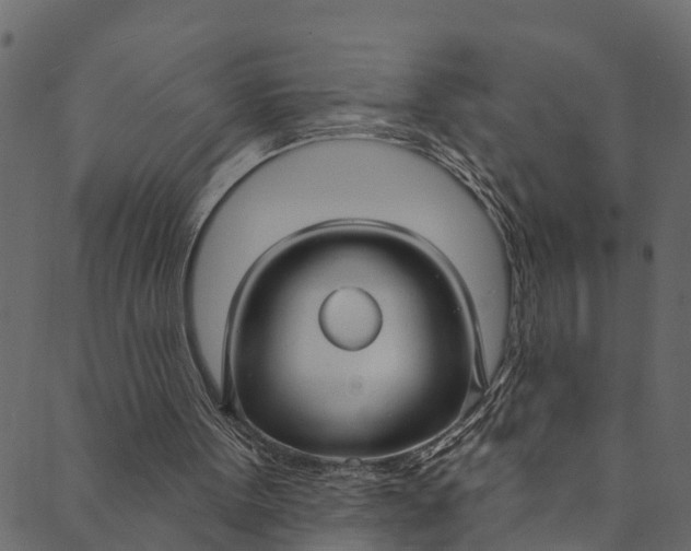 X0000089680099200707121259