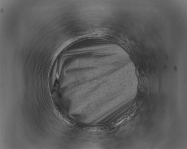 X0000089680100200707121259