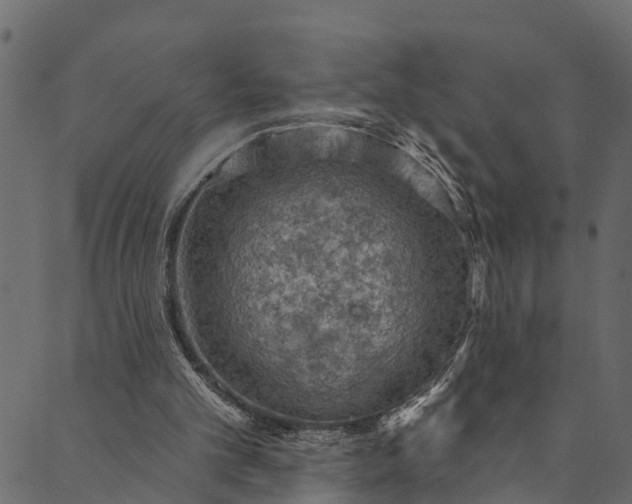 X0000089680101200707121259