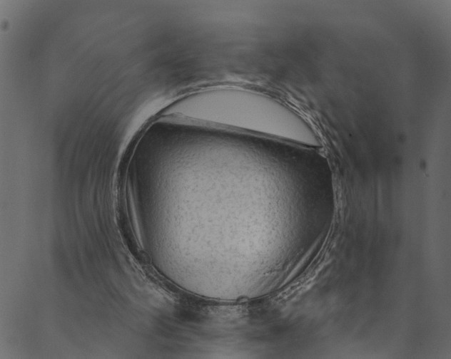 X0000089680102200707121259