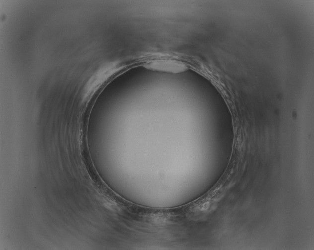 X0000089680103200707121259