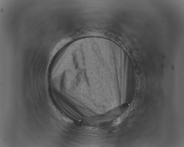 X0000089680104200707121259