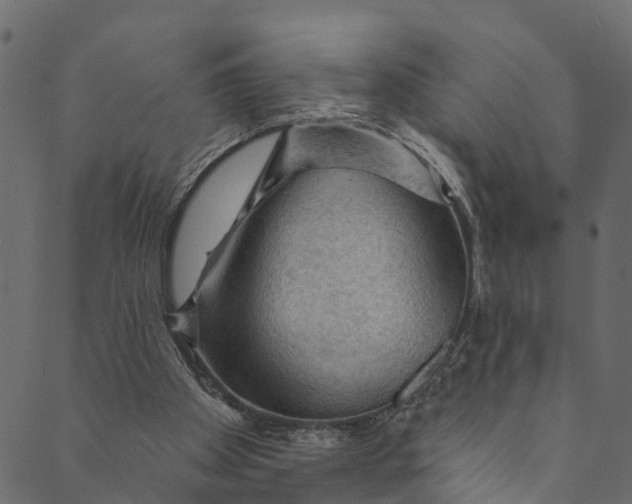 X0000089680105200707121259