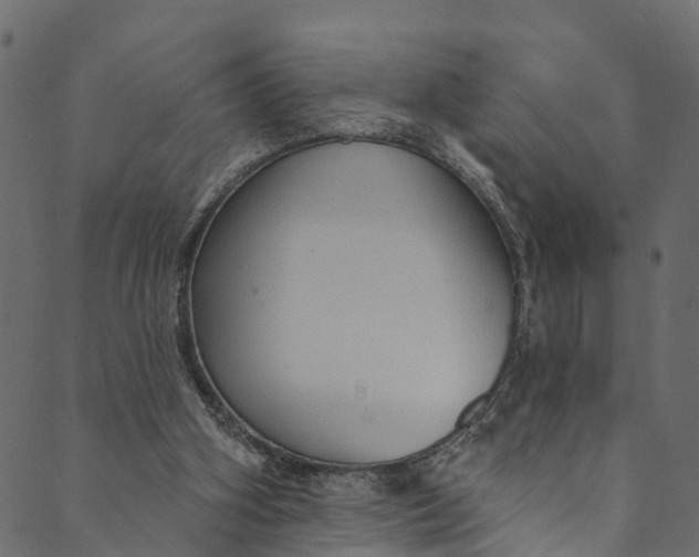 X0000089680106200707121259