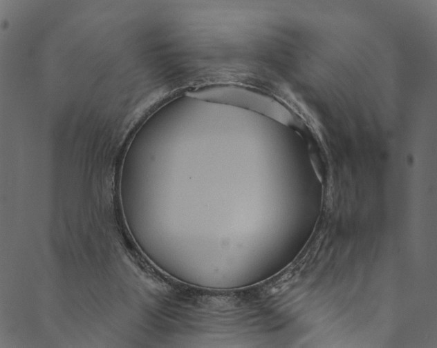 X0000089680107200707121259