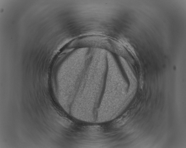 X0000089680108200707121259