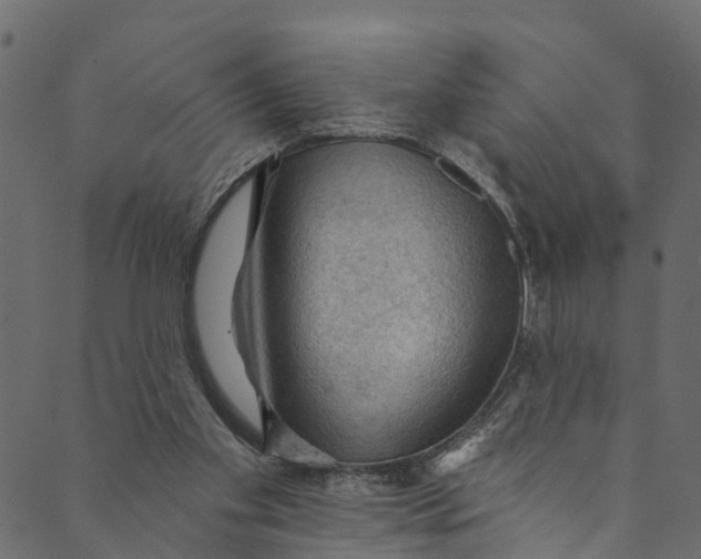 X0000089680109200707121259