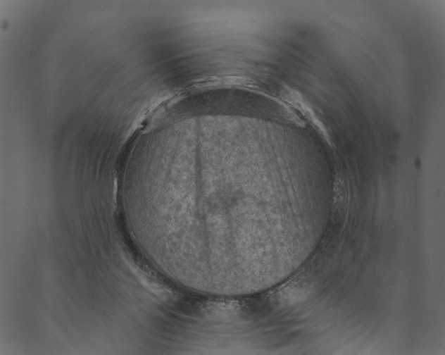 X0000089680110200707121259