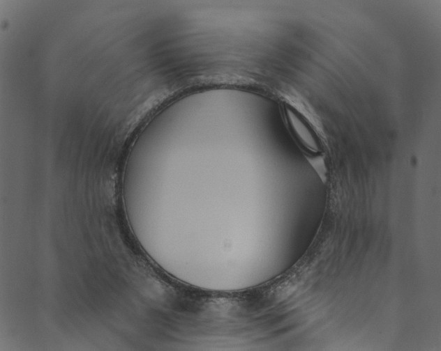 X0000089680111200707121259